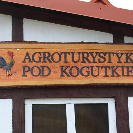 Agroturystyka Pod Kogutkiem Czysta Luaran gambar