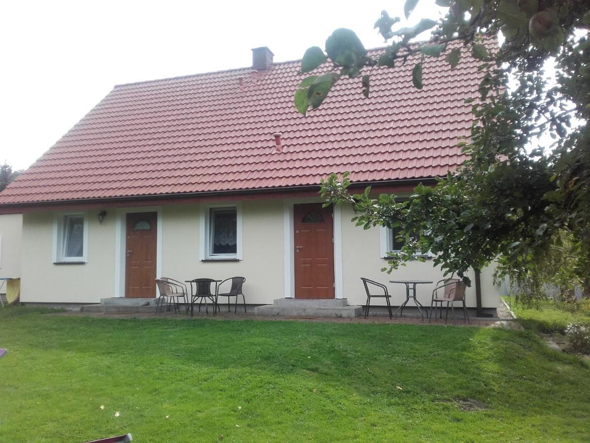 Agroturystyka Pod Kogutkiem Czysta Luaran gambar