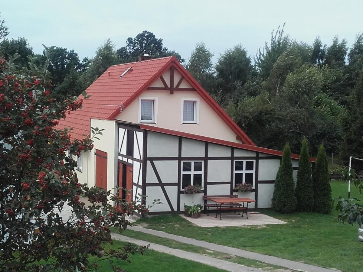 Agroturystyka Pod Kogutkiem Czysta Luaran gambar