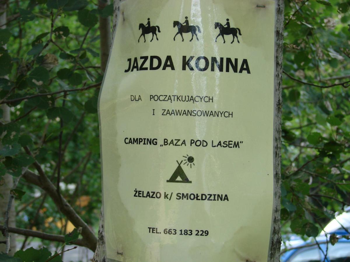 Agroturystyka Pod Kogutkiem Czysta Luaran gambar