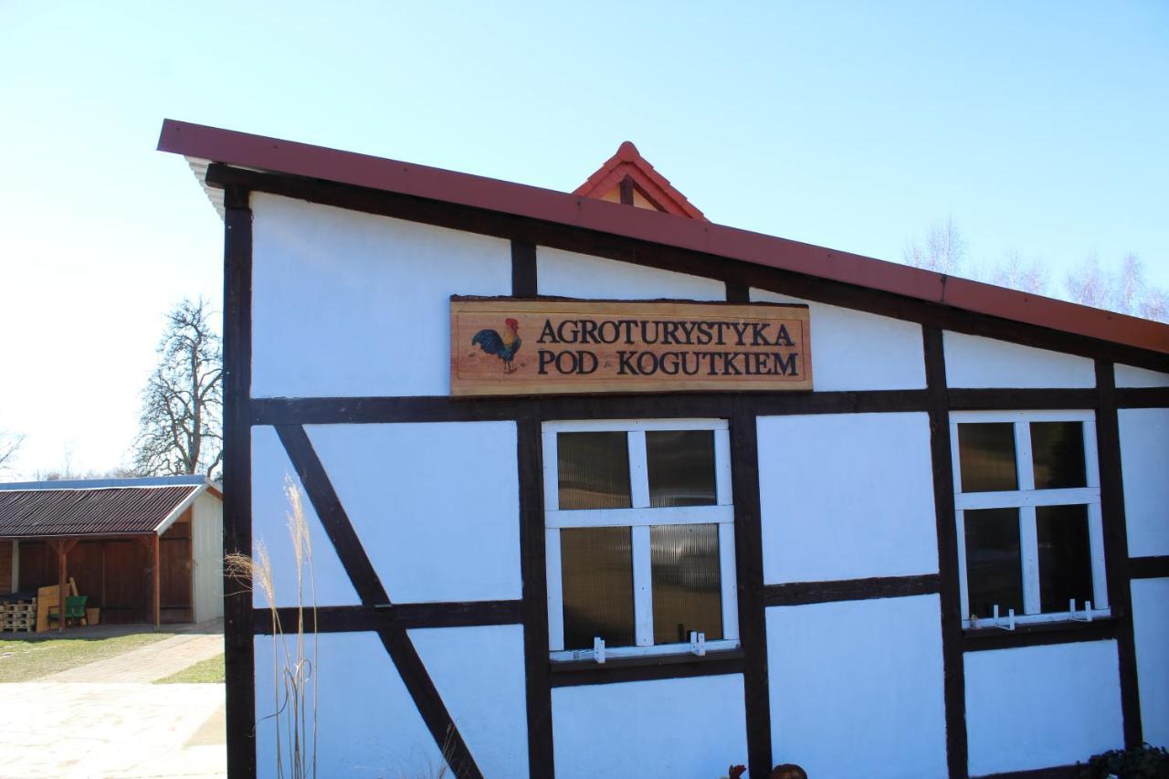 Agroturystyka Pod Kogutkiem Czysta Luaran gambar