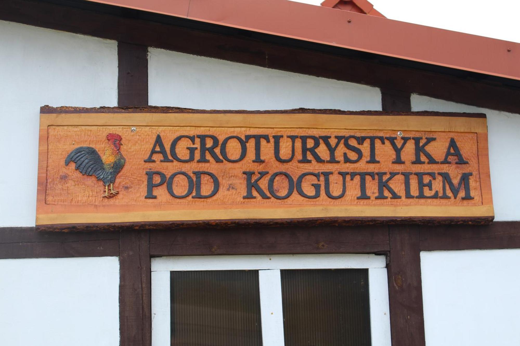 Agroturystyka Pod Kogutkiem Czysta Luaran gambar